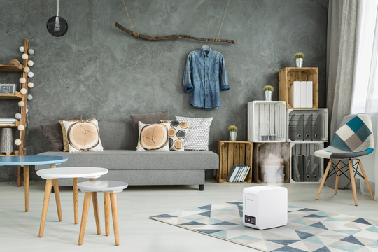 S250 Humidifier Steamer BONECO Living Room